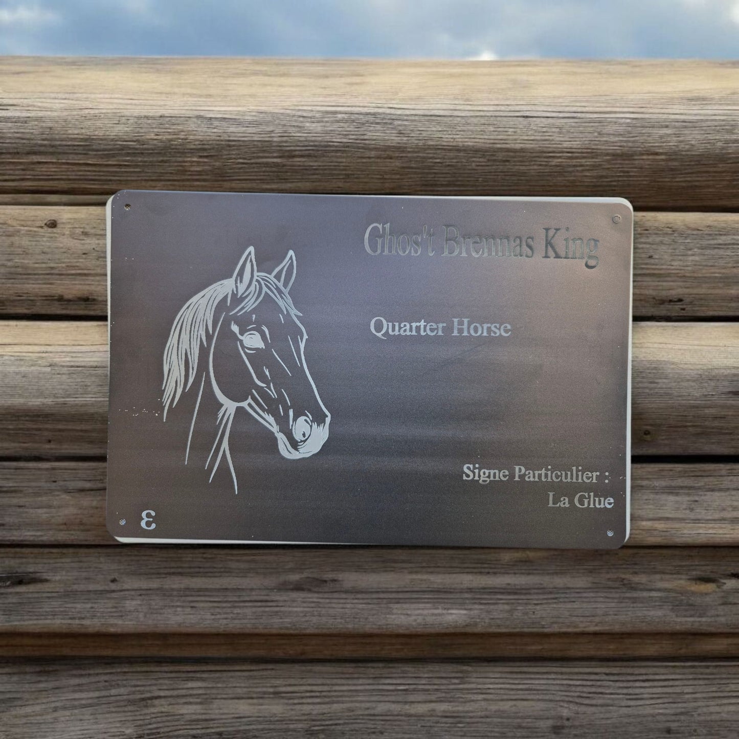 Plaques de box personnalisées – Écuries & paddocks
